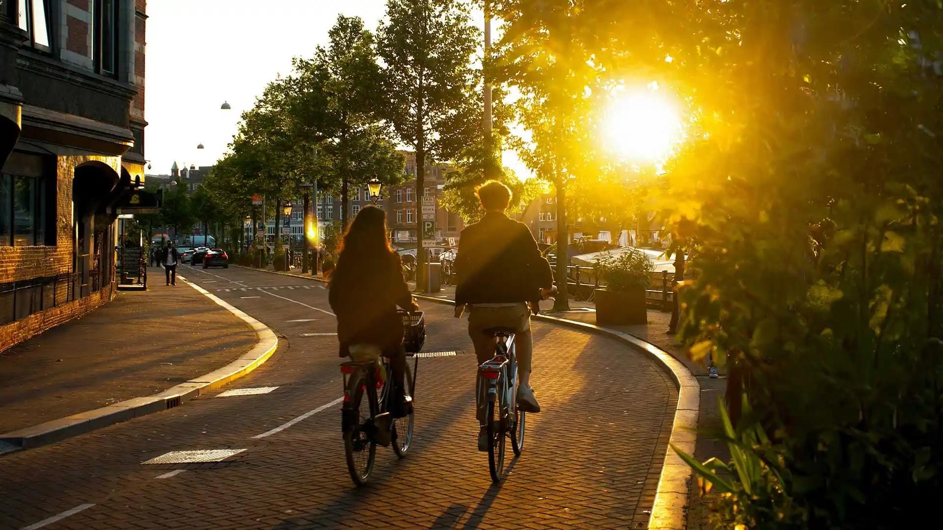 Cyclists on the street