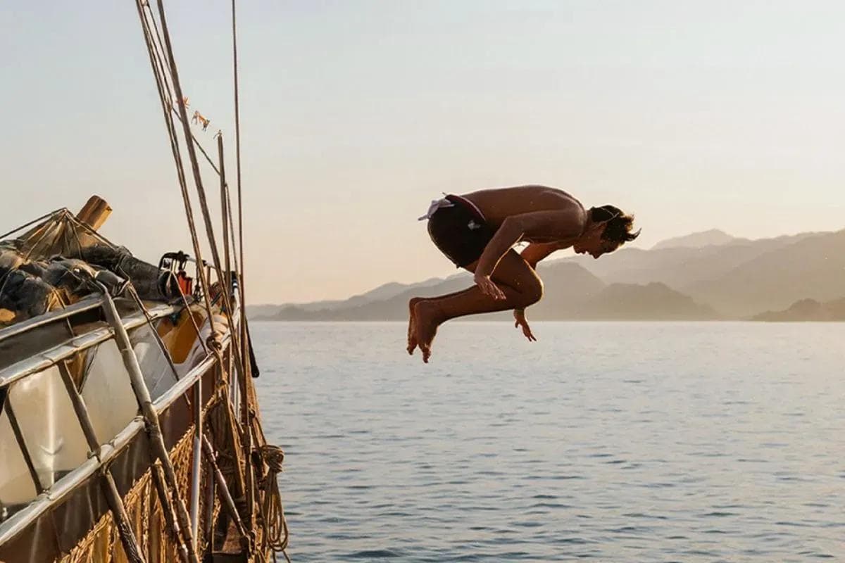 IATI Travel Days (Summer season)