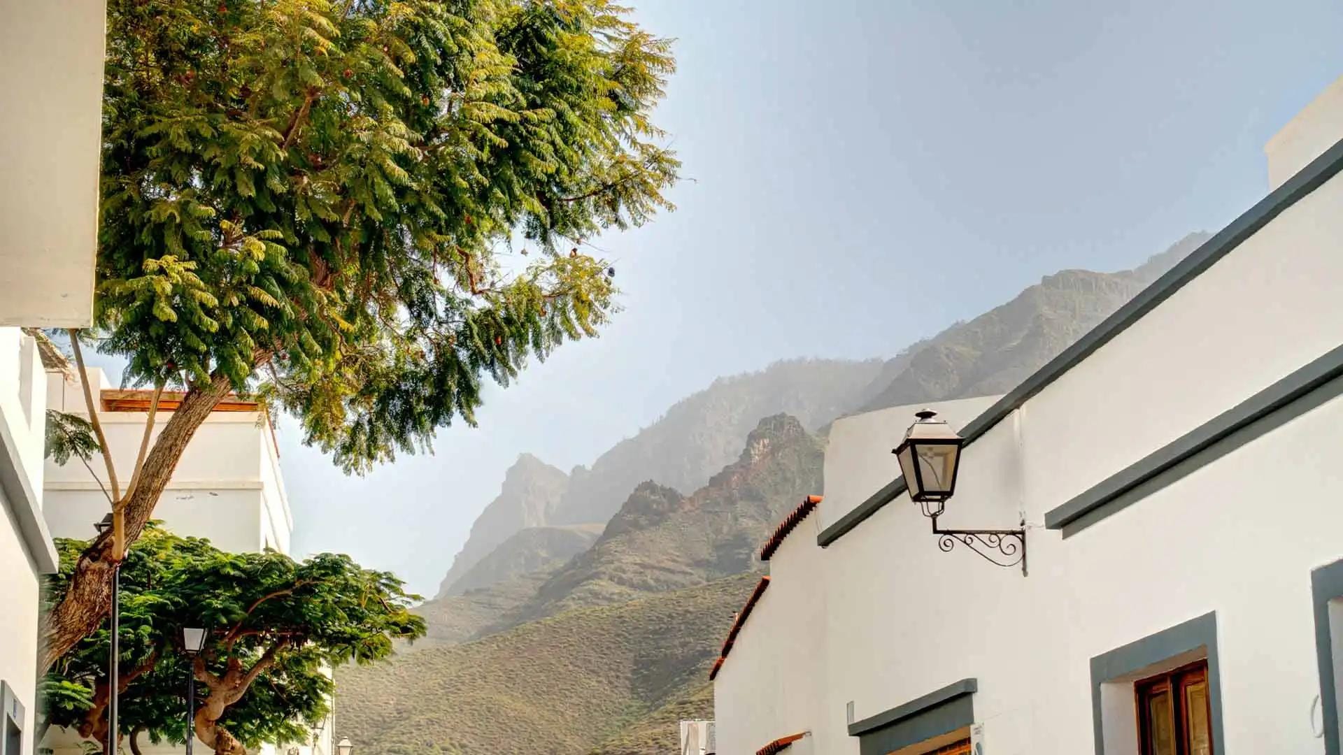 Panoramica della Statua della Libertà