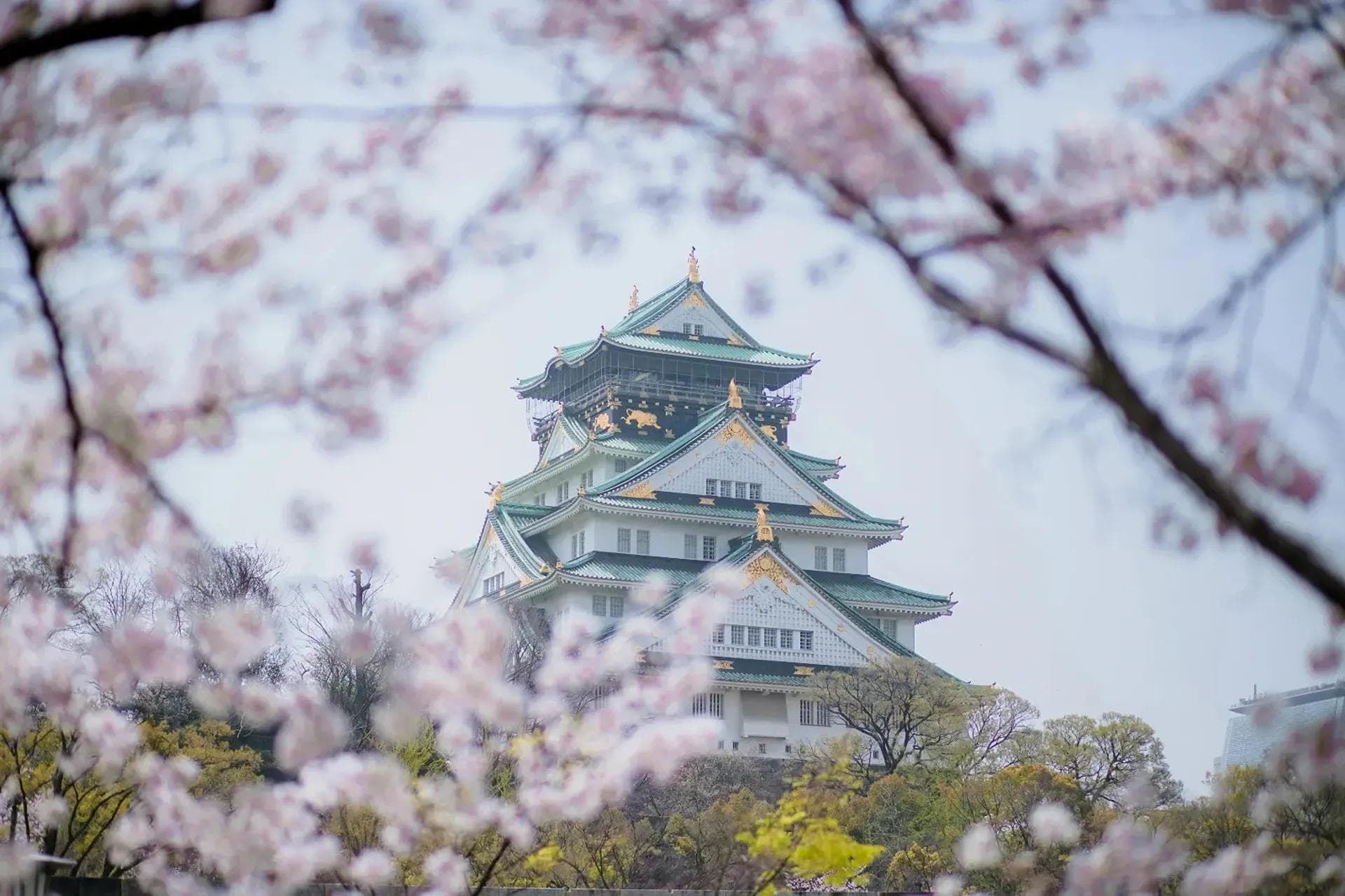 Persona posando en Japón
