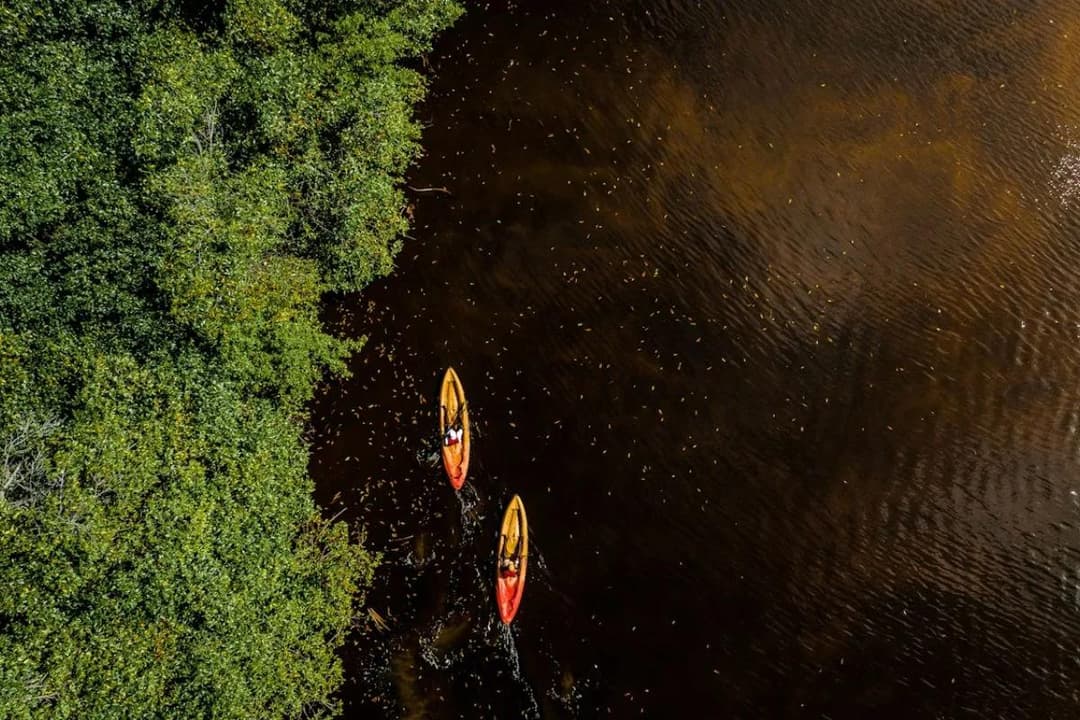 12 propósitos de año nuevo para un turismo más responsable en 2026