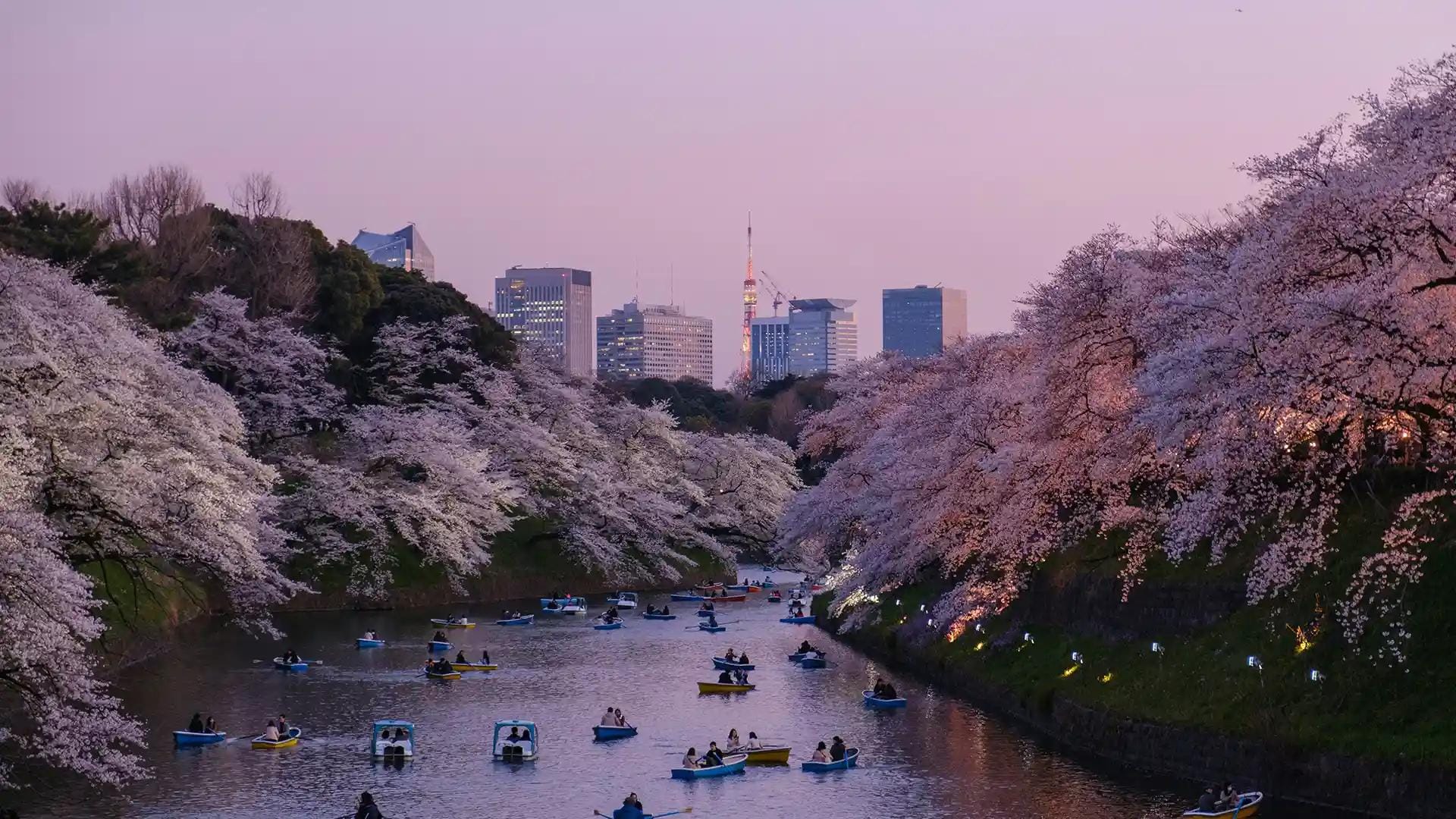 Panoramica della Statua della Libertà